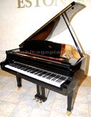 Bohemia 150 Czerny Baby Grand Piano from Chicago Pianos . com