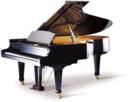 Bohemia 225BR Grand Piano