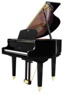 Falcone FG42 Grand Piano Chicago