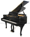 Palatino PGD-46F-BKG Piano Chicago