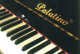 palatino logo