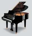 yamaha dgc1m4