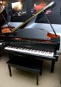 Yamaha C1SE