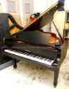 Yamaha C2SE w/iQ player system