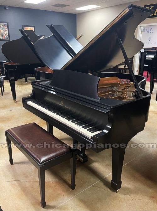 Steinway-M-ES-v3