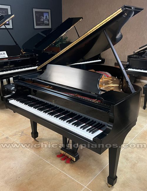 Steinway-S-ES-New