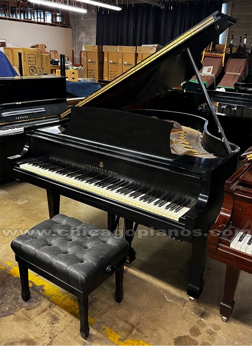 Steinway-M-ES-v6