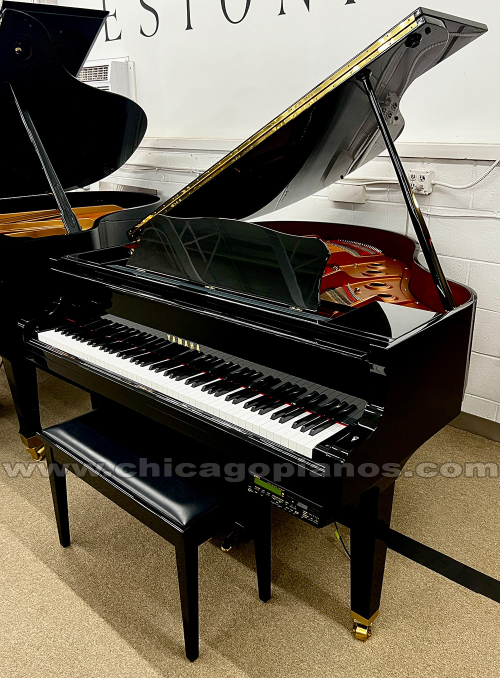 Yamaha-DGB1-EP