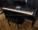 Roland VIMA RK300C