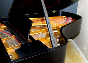 steinway b belly