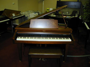 Viscount Digital Piano 4