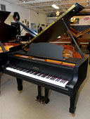 Estonia 190 Ebony Satin