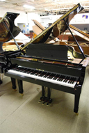 Yamaha G3