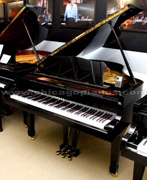 Yamaha G2 w/ iPod